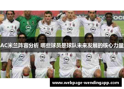 AC米兰阵容分析 哪些球员是球队未来发展的核心力量