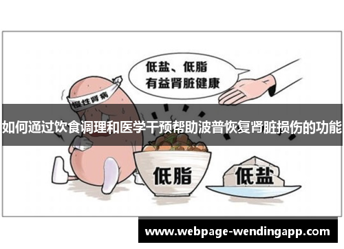 如何通过饮食调理和医学干预帮助波普恢复肾脏损伤的功能