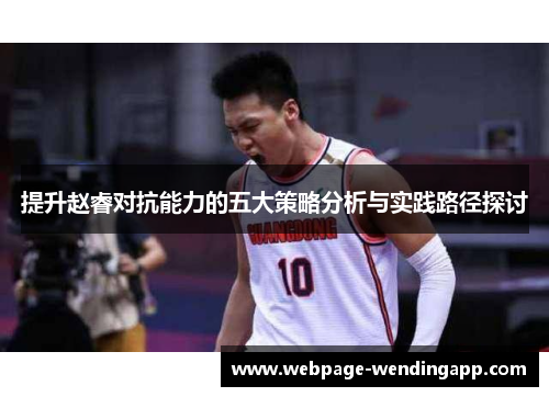 提升赵睿对抗能力的五大策略分析与实践路径探讨