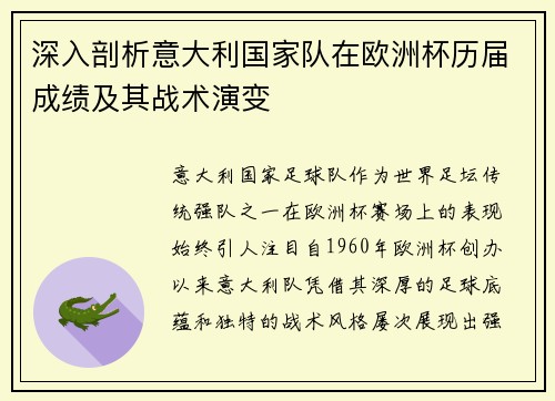 深入剖析意大利国家队在欧洲杯历届成绩及其战术演变
