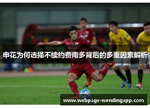 申花为何选择不续约费南多背后的多重因素解析