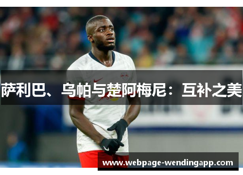萨利巴、乌帕与楚阿梅尼：互补之美