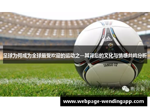 足球为何成为全球最受欢迎的运动之一其背后的文化与情感共鸣分析