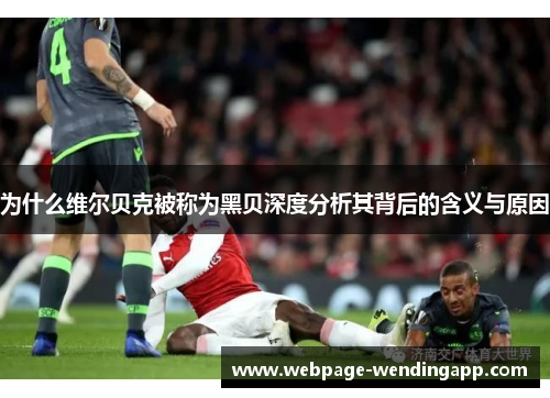 为什么维尔贝克被称为黑贝深度分析其背后的含义与原因 为什么维尔贝克被称为黑贝深度分析其背后的含义与原因