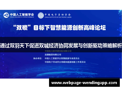 通过双羽天下促进双城经济协同发展与创新驱动策略解析 通过双羽天下促进双城经济协同发展与创新驱动策略解析