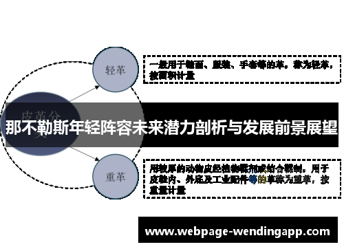 那不勒斯年轻阵容未来潜力剖析与发展前景展望