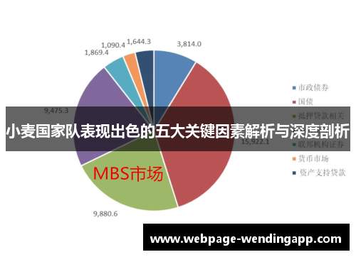 小麦国家队表现出色的五大关键因素解析与深度剖析
