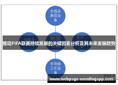 推动FIFA联赛持续发展的关键因素分析及其未来发展趋势