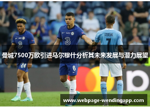曼城7500万欧引进马尔穆什分析其未来发展与潜力展望