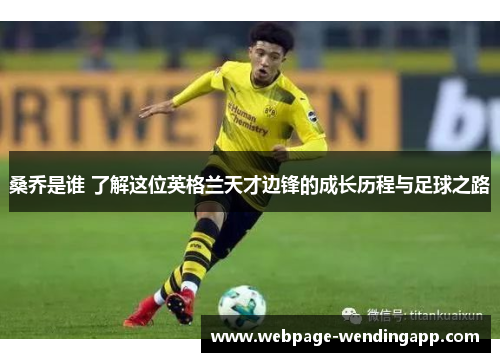 桑乔是谁 了解这位英格兰天才边锋的成长历程与足球之路 桑乔是谁 了解这位英格兰天才边锋的成长历程与足球之路