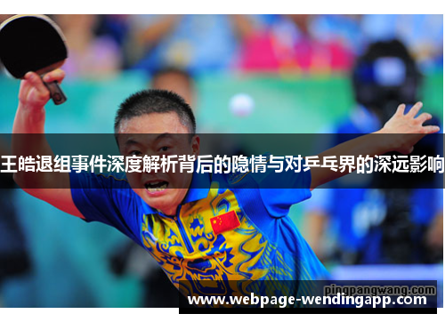 王皓退组事件深度解析背后的隐情与对乒乓界的深远影响